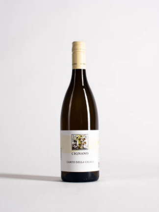 Cignano